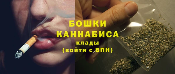 спайс Богданович