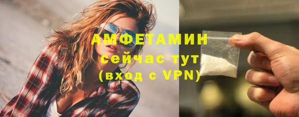 спайс Богданович
