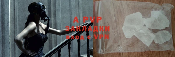 спайс Богданович
