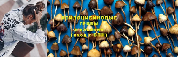 mdma Бородино