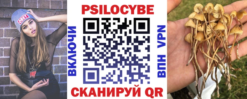 Купить  Суворов  Псилоцибиновые грибы ЛСД 
